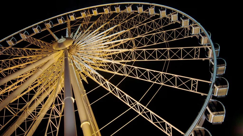 Paseos en noria de 65 metros a la venta